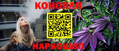 твердый Кингисепп