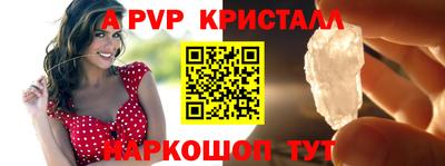 твердый Кингисепп