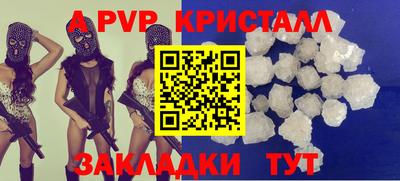 твердый Кингисепп