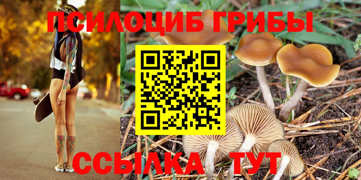 Псилоцибиновые грибы Magic Shrooms  Галлюциногенные грибы MAGIC MUSHROOMS  Изобильный  Вход с VPN 